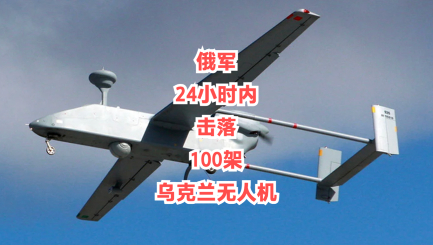 2025年新澳门管家婆一肖一码资料,朋友来家后牛被吵到“送客”,广泛的解释落实方法分析_标清版V4.7